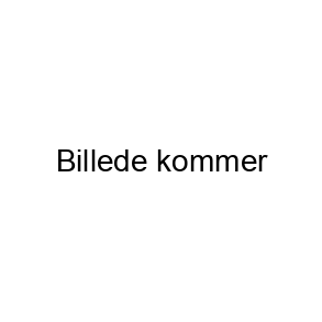 Basketball stander og -kurve